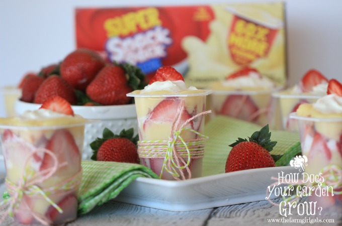 Strawberry Shortcake Trifle Cups - Feature 1
