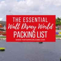 The Essential Walt Disney World Packing List