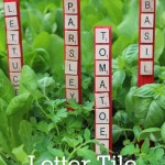 Looking for an easy and fun gardening craft for the whole family? These Letter Tile Garden Markers are simple and look great in your vegetable garden.
