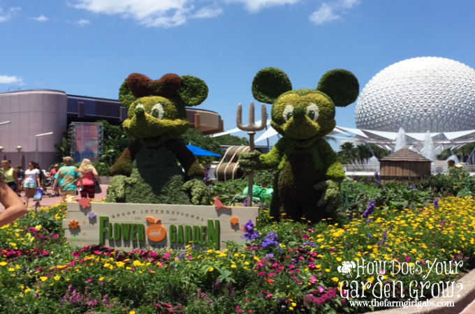 Mickey & Minnie - Epcot