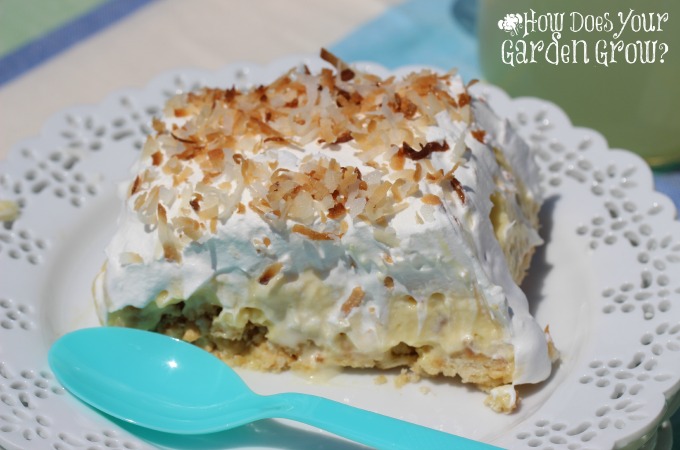 Toasted Coconut - Blue Bunny 5