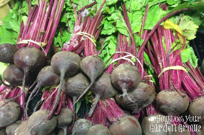 Beets