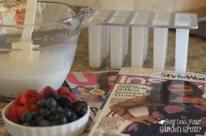  Me Time With Berry Yogurt Popsicles Summer4Me
