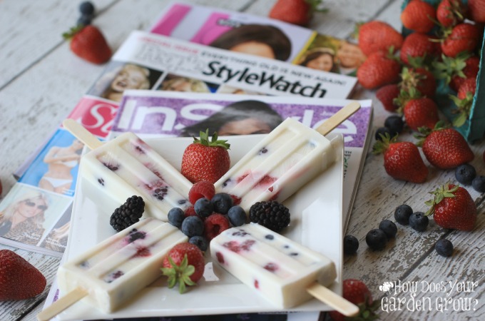  Me Time With Berry Yogurt Popsicles Summer4Me