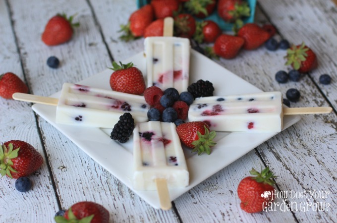  Me Time With Berry Yogurt Popsicles Summer4Me
