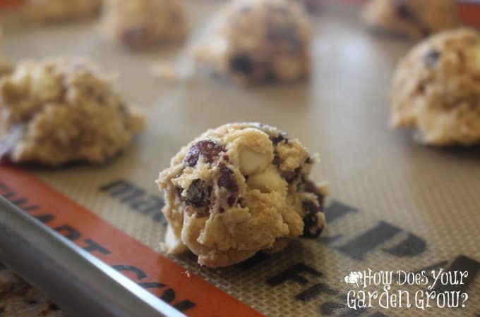 Red White Blue Oatmeal Cookies Tray