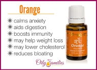 Spreecast Perfect 13 Orange