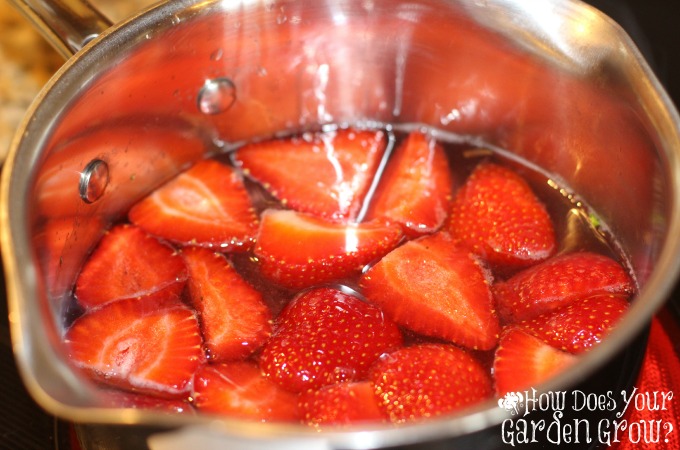 Strawberry Shortcake Daiquiri - Www.thefarmgirlgabs.com