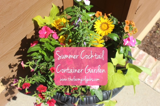 Summer Cocktail Container Garden