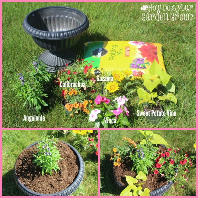 Summer Cocktail Garden Collage