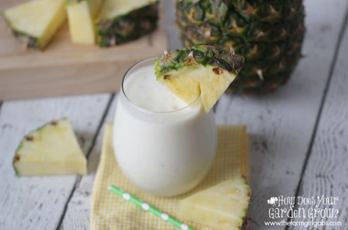 Dole Whip Smoothie - Www.thefarmgirlgabs.com