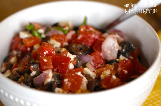Mediterranean Salsa - Feature 2