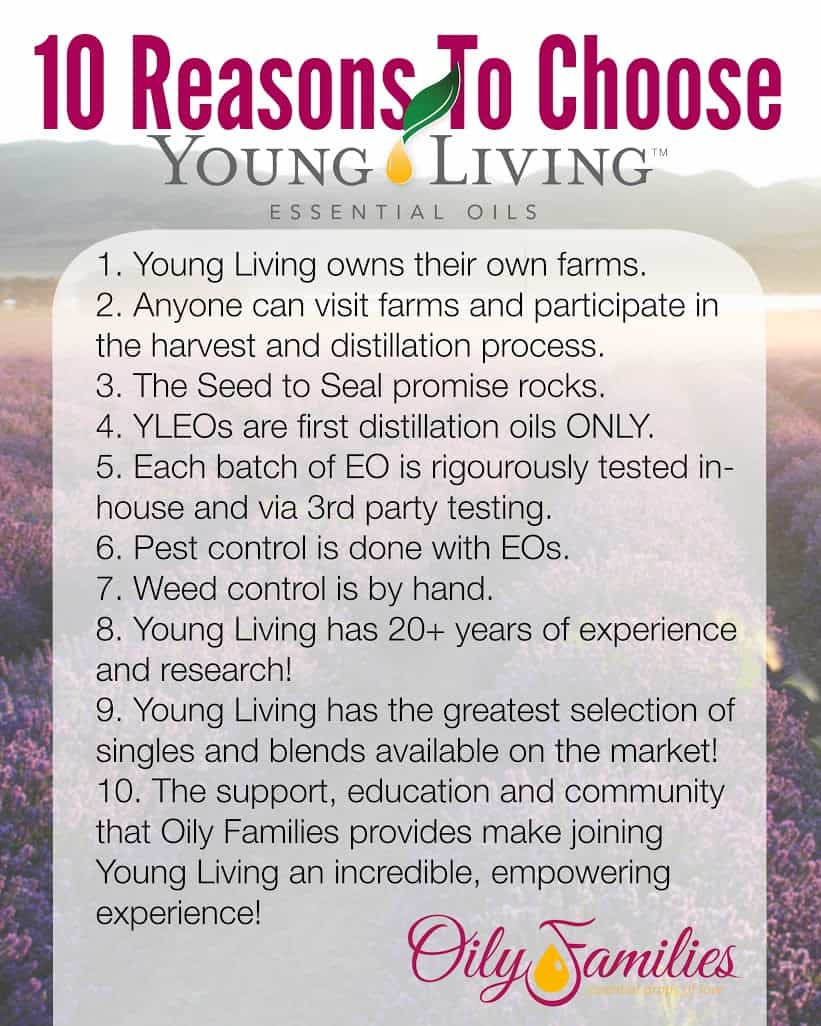 OF Choose YL