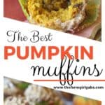 These Pumpkin Pecan Crunch Muffins combine a delicious pumpkin muffin with a crunchy pecan streusel topping. These pumpkin muffins are the perfect snack for any time of the day. #pumpkinmuffins #pumpkinrecipe