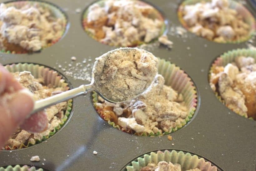 These Pumpkin Pecan Crunch Muffins combine a delicious pumpkin muffin with a crunchy pecan streusel topping. These pumpkin muffins are the perfect snack for any time of the day.