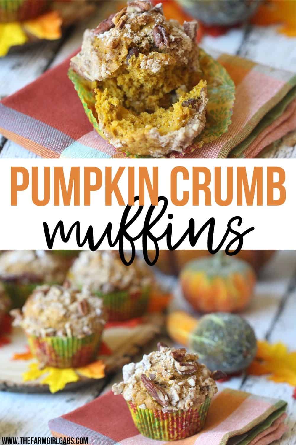 These Pumpkin Pecan Crunch Muffins combine a delicious pumpkin muffin with a crunchy pecan streusel topping. These pumpkin muffins are the perfect snack for any time of the day. #pumpkinmuffins #pumpkinrecipe