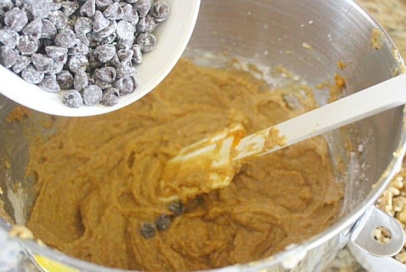 This easy Chocolate Chip Pumpkin Nut Bread recipe is perfect for fall. This quick pumpkin bread is moist, delicious and loaded with chocolate chips and nuts. You family will love how delicious this easy pumpkin quick bread recipe is.