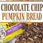 This easy Chocolate Chip Pumpkin Nut Bread recipe is perfect for fall. This quick pumpkin bread is moist, delicious and loaded with chocolate chips and nuts. You family will love how delicious this easy pumpkin quick bread recipe is.