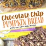 This easy Chocolate Chip Pumpkin Nut Bread recipe is perfect for fall. This quick pumpkin bread is moist, delicious and loaded with chocolate chips and nuts. You family will love how delicious this easy pumpkin quick bread recipe is.