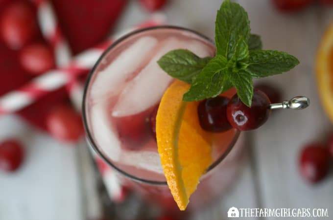 Cranberry Orange Fizzy The Farm Girl Gabs 