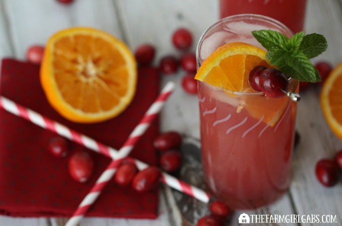 Cranberry Orange Fizzy The Farm Girl Gabs 