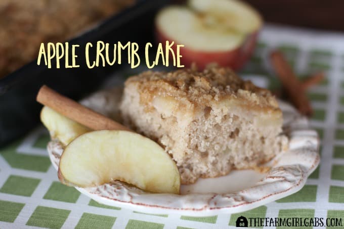 This moist Apple Crumb Cake goes perfectly with Marie Callender's® Chicken Pot Pie. This dessert recipe is easy and delicious. [Ad] #PotPiePlease