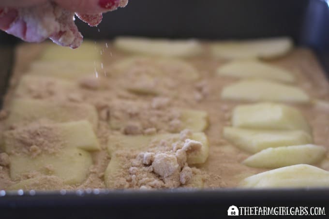 Apple Crumb Cake Step 2