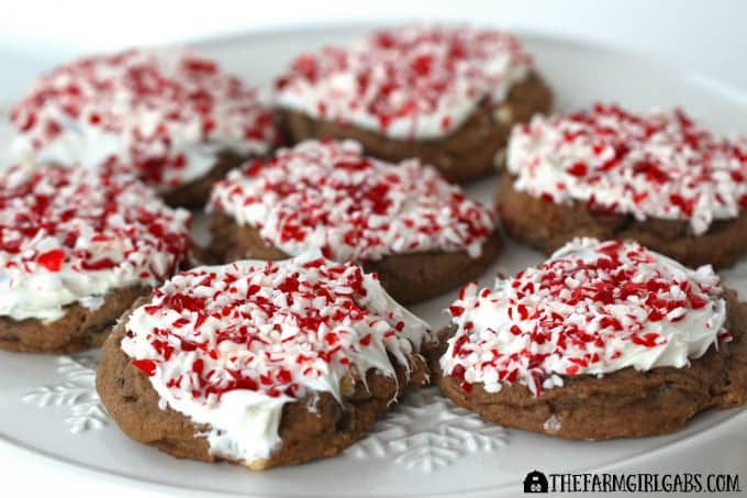 Peppermint Hot Chocolate Cookies - Feature 1