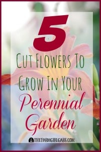 5 Cut Flowers To Grow In Your Perennial Garden