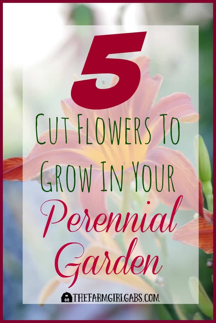 Five Perennials To Grow In Your Cut Flower Garden - The Farm Girl Gabs®