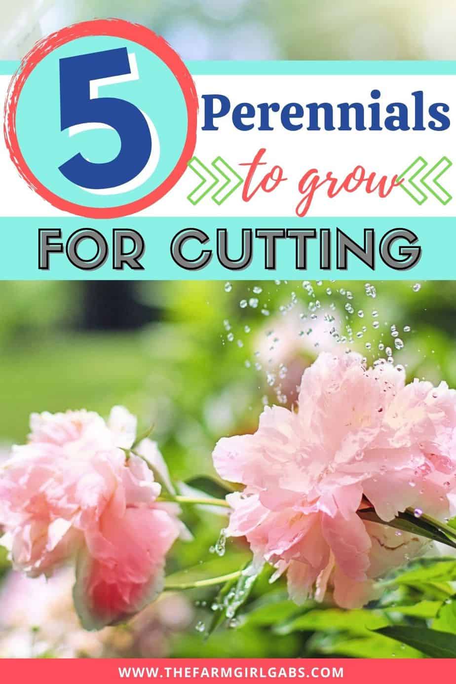 Bring the outdoors in with these Five Perennials To Grow In Your Cut Flower Garden. Grow your own cut flower garden. These best perennials for a cutting garden are easy to grow.