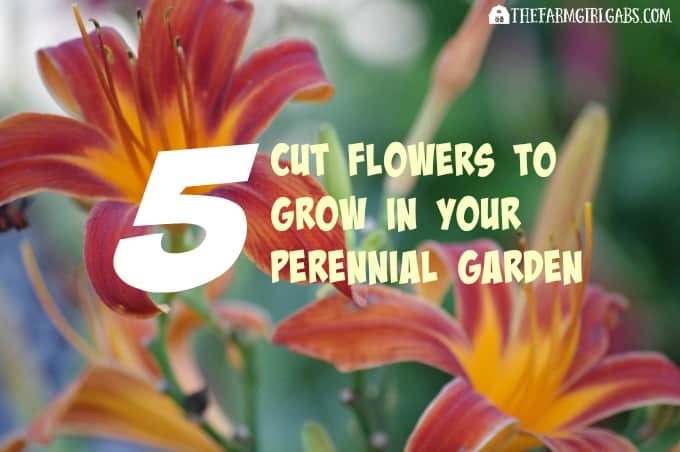 Five cut flowers to grow in your perennial garden. AD #GrowBeautifully #MonroviaPlants
