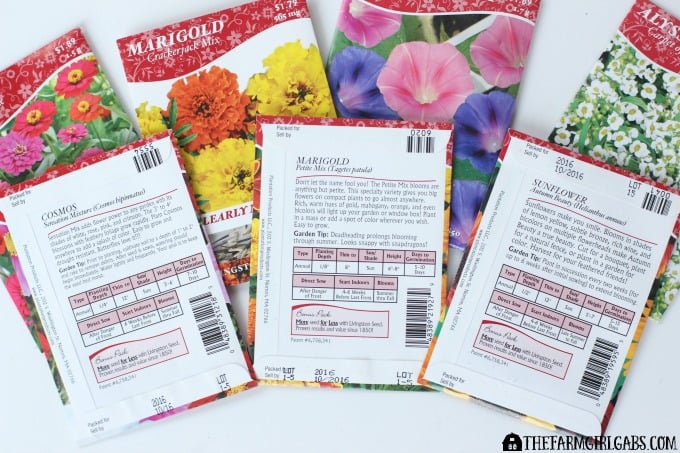 10 Annuals To Grow From Seed