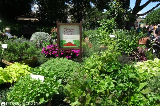2016 Epcot® International Flower & Garden Festival - 10