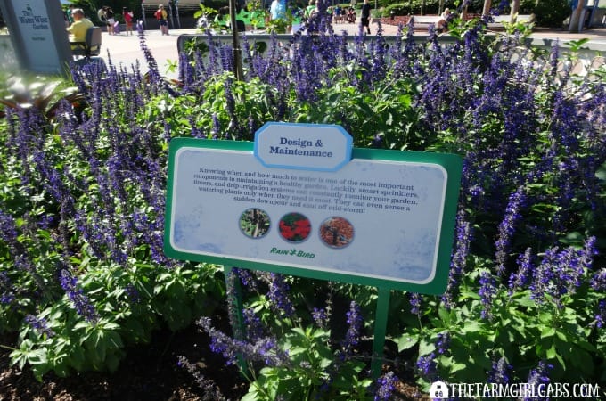 2016 Epcot® International Flower & Garden Festival
