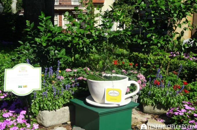 2016 Epcot® International Flower & Garden Festival
