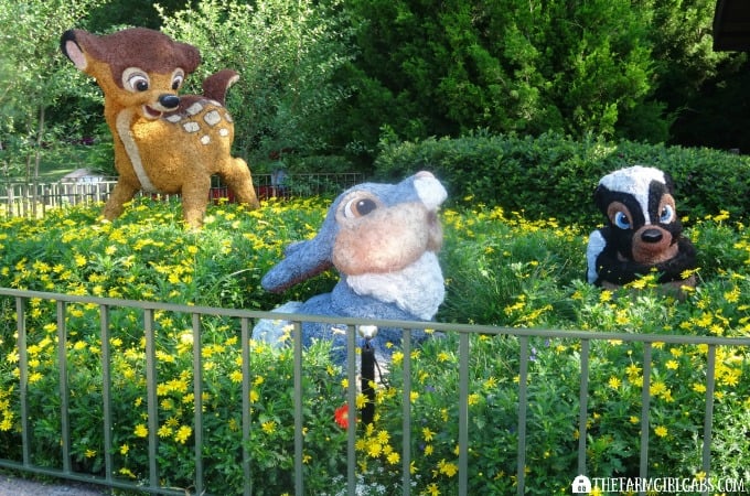 2016 Epcot® International Flower & Garden Festival - 6