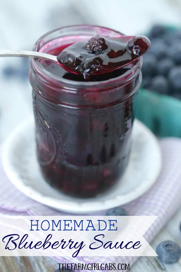 Blueberry Coulis Recipe Dandk Organizer