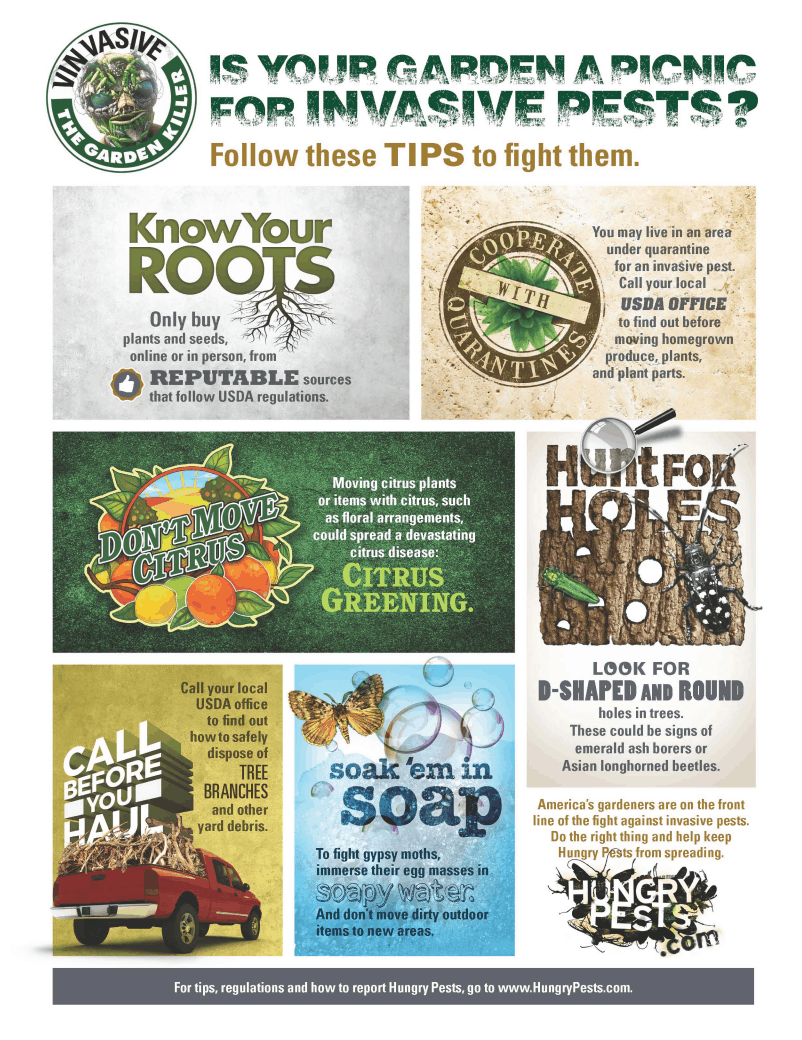 Six Tips For Keeping Your Gardens Free Of Hungry Pests. #ad