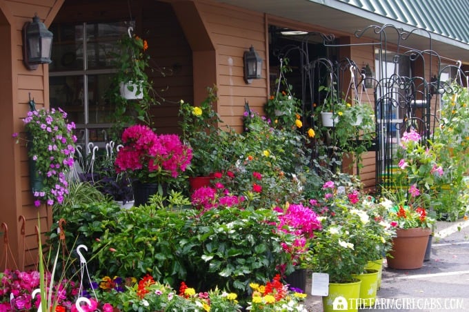 Six Tips For Keeping Your Gardens Free Of Hungry Pests. #ad