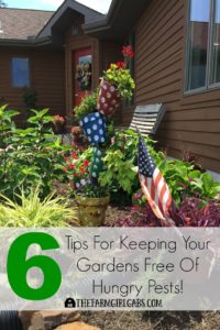 Six Tips For Keeping Your Gardens Free Of Hungry Pests. #ad