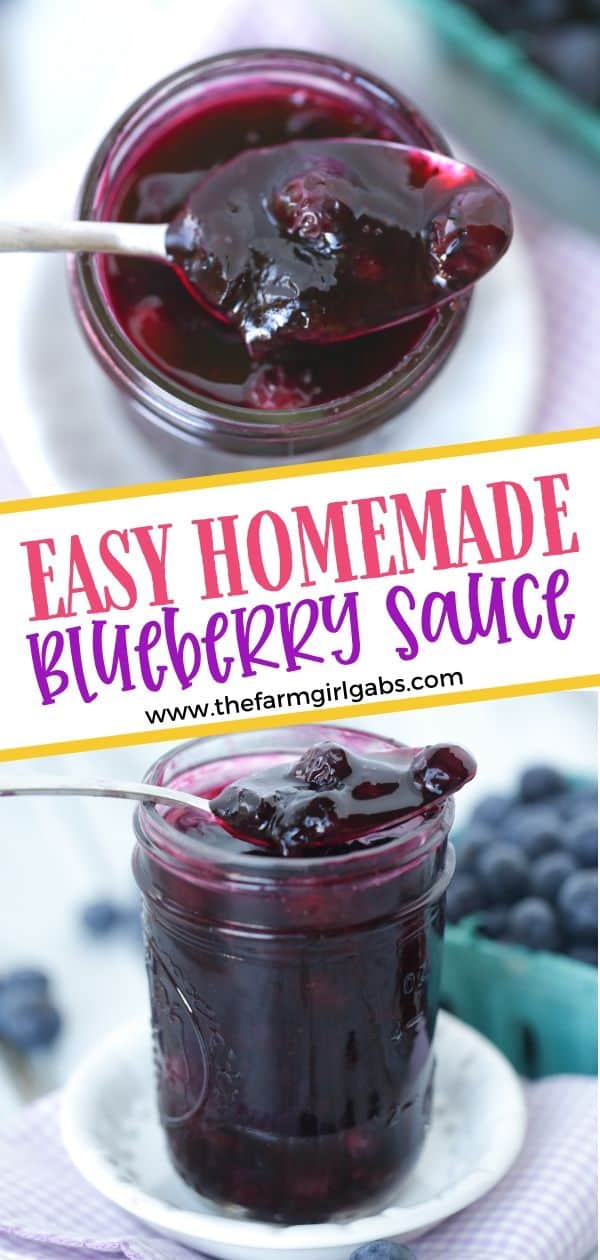 The Best Homemade Blueberry Sauce - The Farm Girl Gabs®