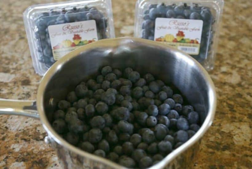 This best Homemade Blueberry Sauce recipe is the perfect topping for ice cream and pancakes as well as many other desserts. This easy blueberry recipe takes just 15 minutes to make.