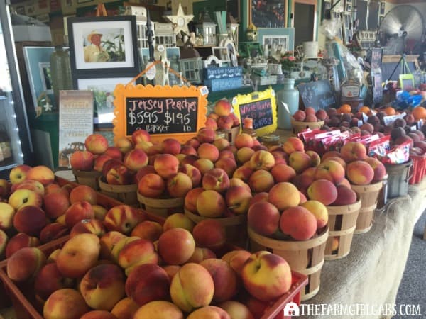 Farm Market