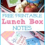 Brighten your child's school day by including one of these adorable free Printable Lunch Box Notes in their lunch.
