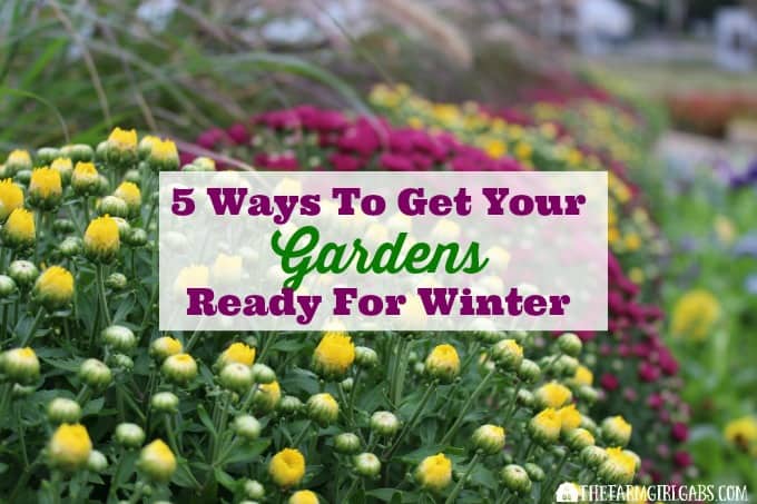 5 Ways To Get Your Gardens Ready For Winter
