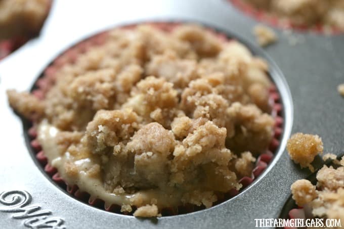 My family proclaimed these the BEST Apple Crumb Muffins ever. This recipe is filled with lots of sweet apples and topped with a buttery cinnamon and brown sugar topping.