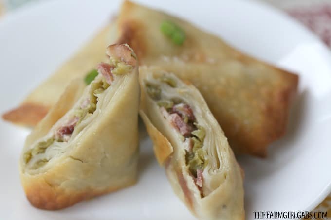 bacon-bomb-eggrolls-feature3