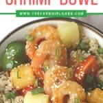 Hawaiian Shrimp Rice bowl long pin