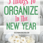 Start the year off on the right note. Here are 5 Things To Organize In The New Year Plus A Free Daily Planner To Keep You Organized.